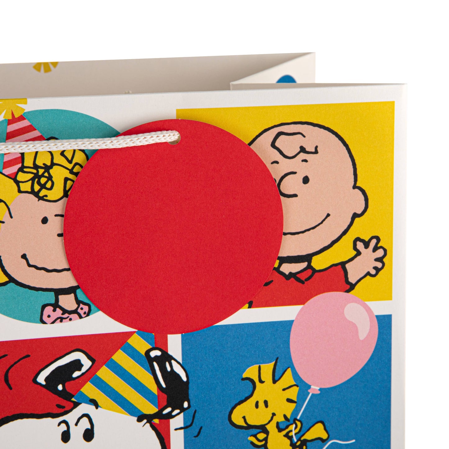 Large Multi-Occasion Gift Bag - Peanuts Design