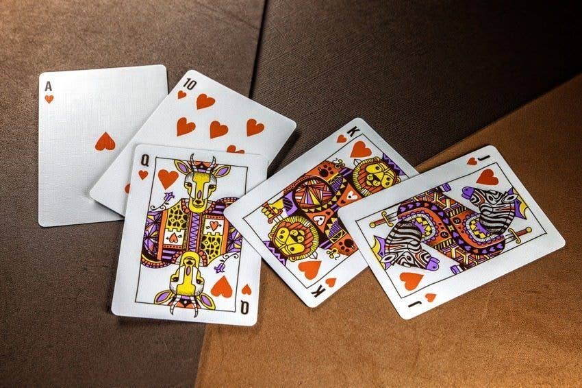Animal Kingdom Playing Cards Theory11
