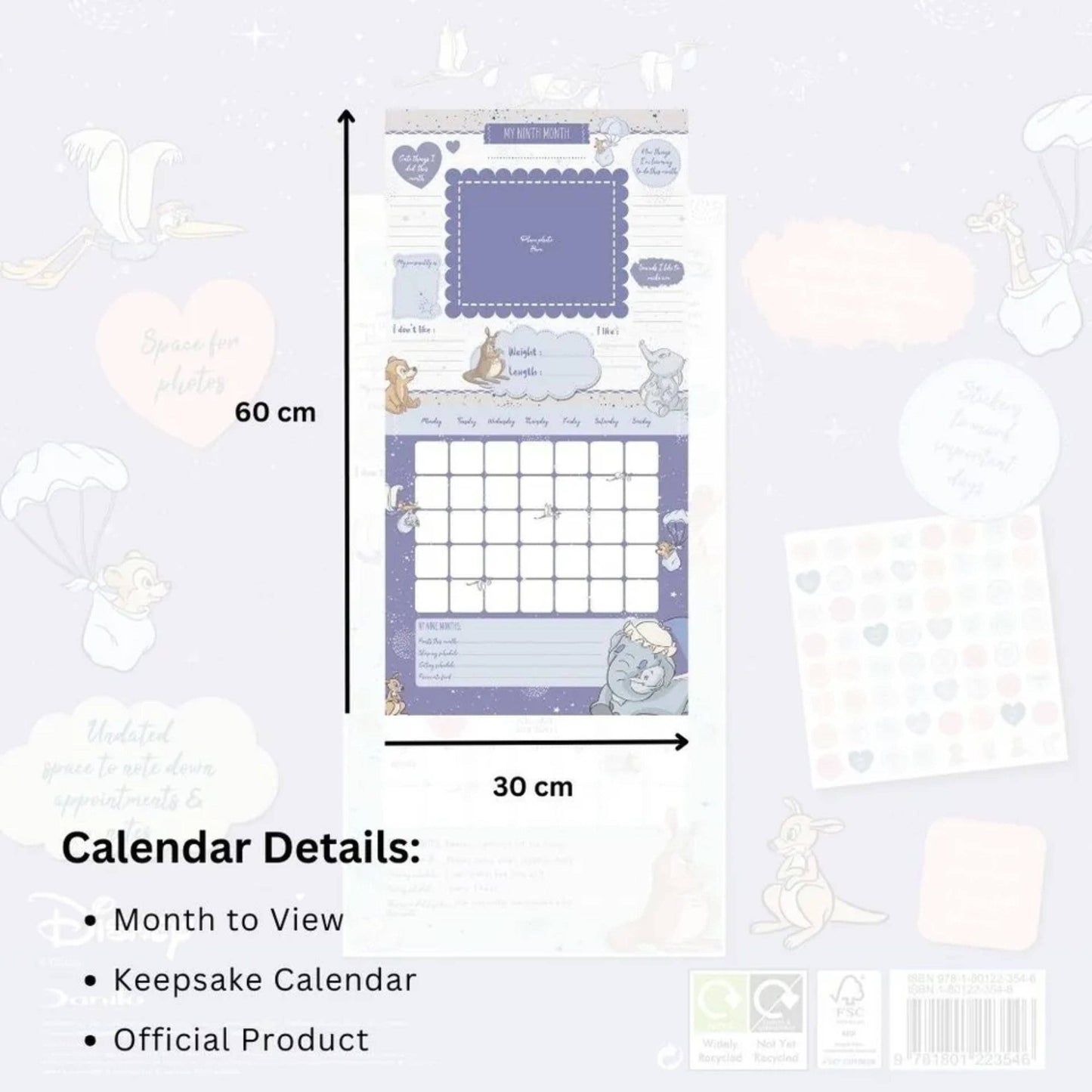 Disney Classic Baby's First Year - A Loving Keepsake Calendar