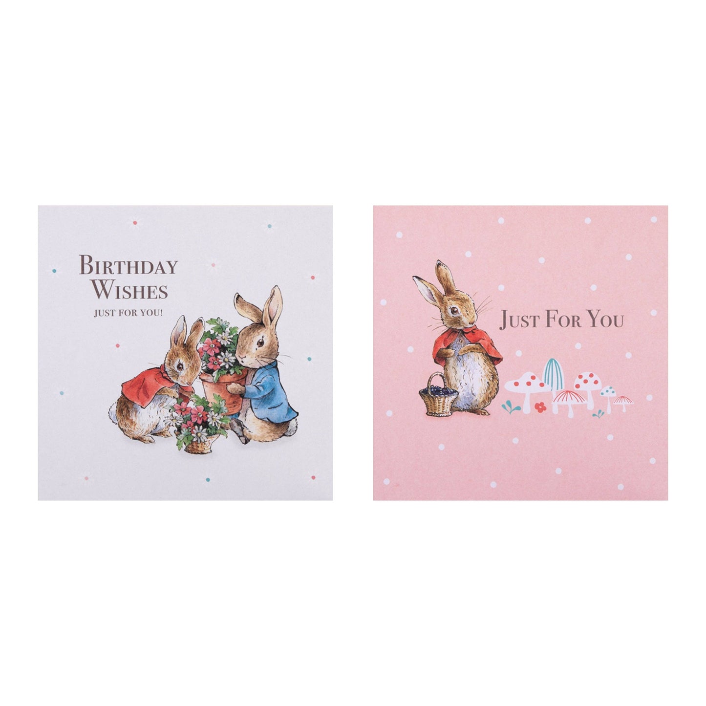 Birthday Cards Multipack - 10 Peter Rabbit Designs