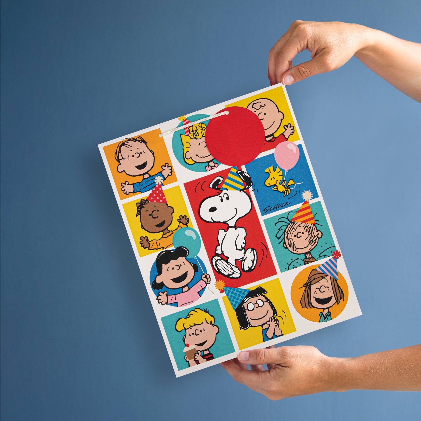Large Multi-Occasion Gift Bag - Peanuts Design