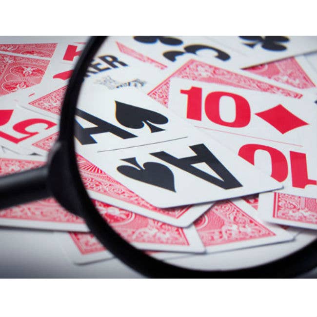 Bicycle Large Print Cards (Blue)