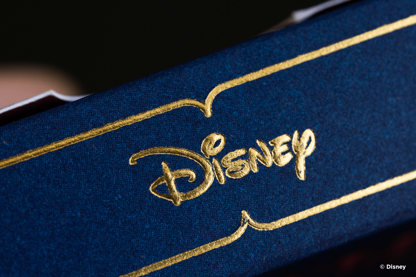 Bicycle Disney Princess Navy Cards