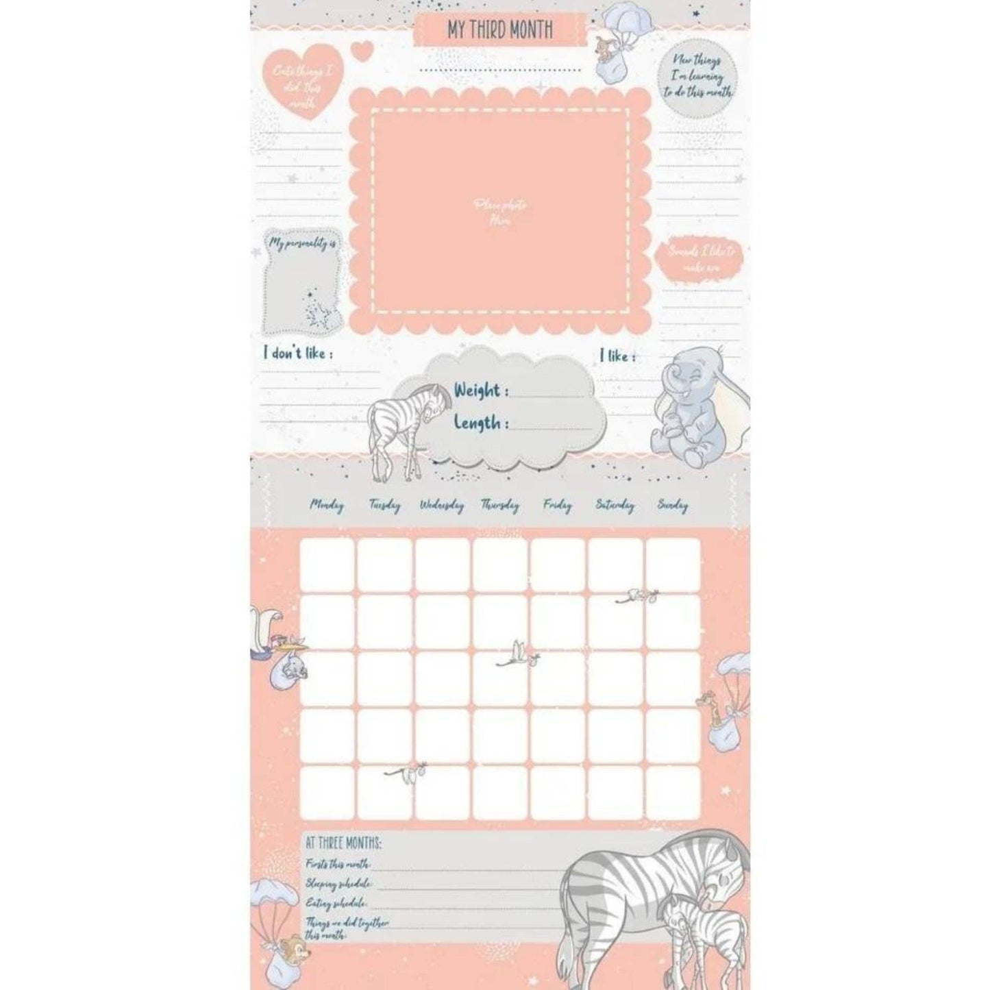 Disney Classic Baby's First Year - A Loving Keepsake Calendar