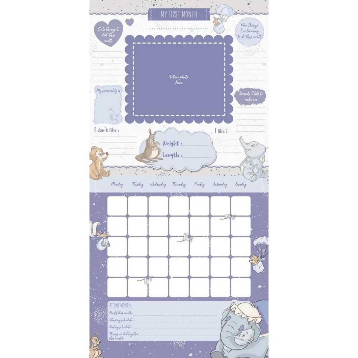 Disney Classic Baby's First Year - A Loving Keepsake Calendar