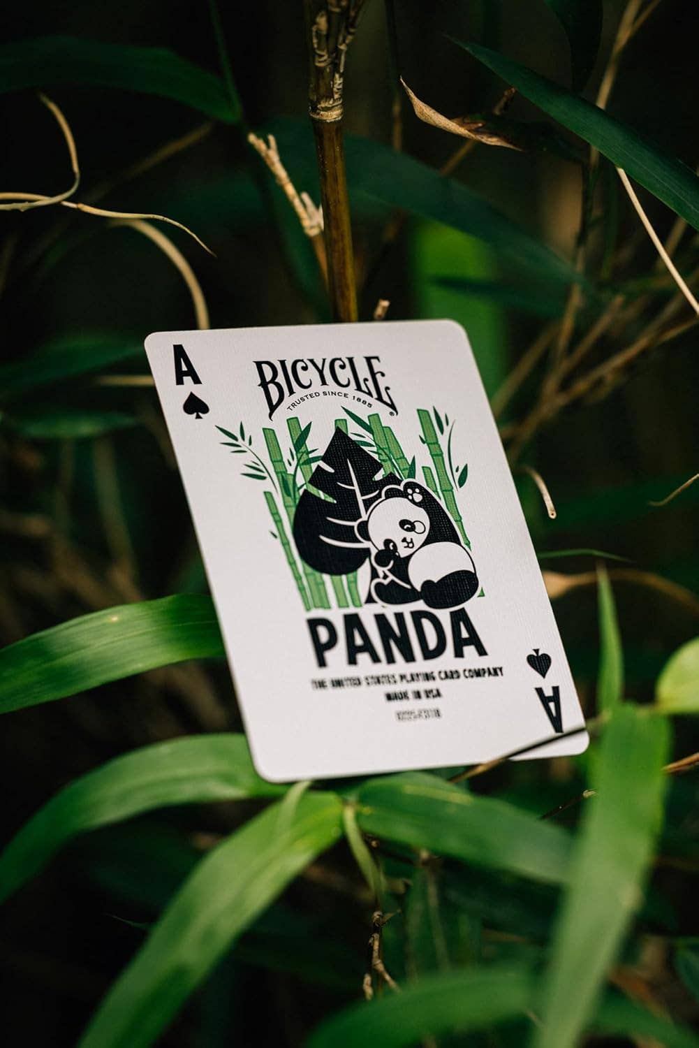 Panda Playing Cards Bicycle